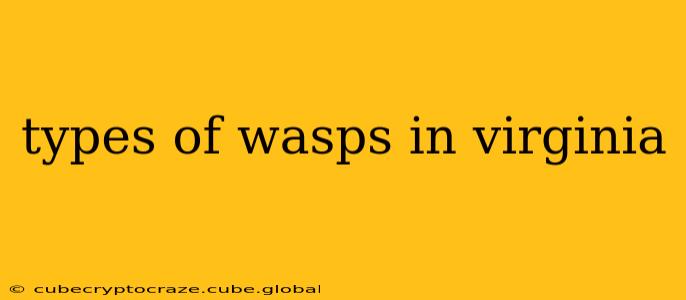 types of wasps in virginia
