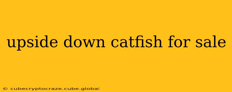 upside down catfish for sale