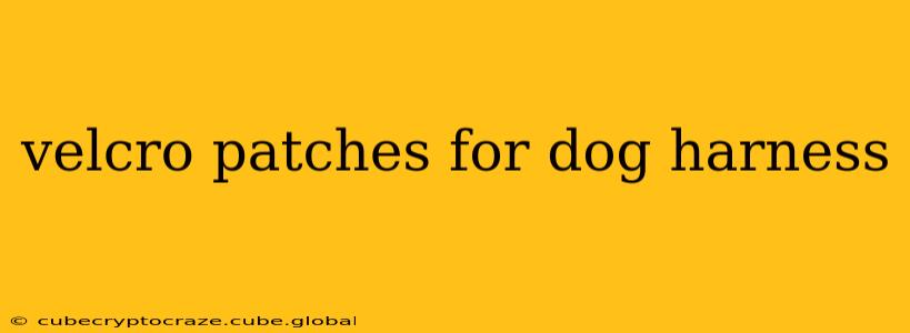 velcro patches for dog harness