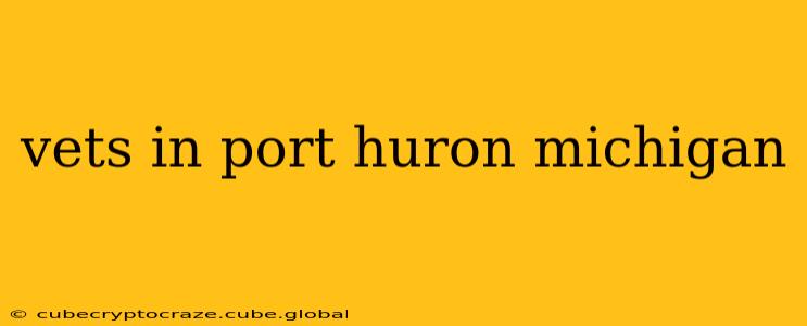 vets in port huron michigan