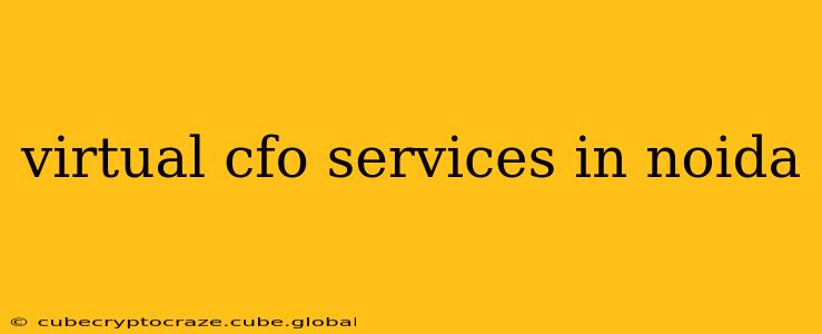 virtual cfo services in noida