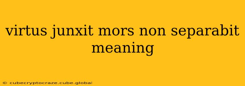 virtus junxit mors non separabit meaning