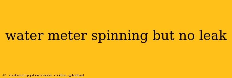 water meter spinning but no leak