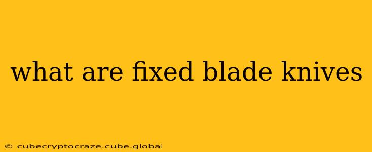 what are fixed blade knives