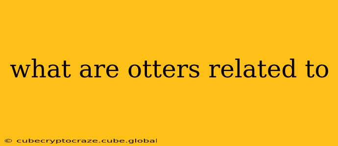 what are otters related to