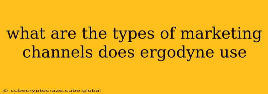 what are the types of marketing channels does ergodyne use
