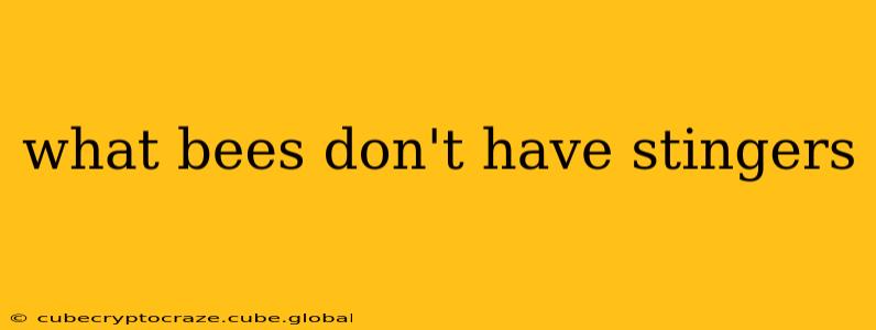 what bees don't have stingers