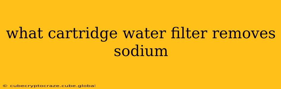what cartridge water filter removes sodium