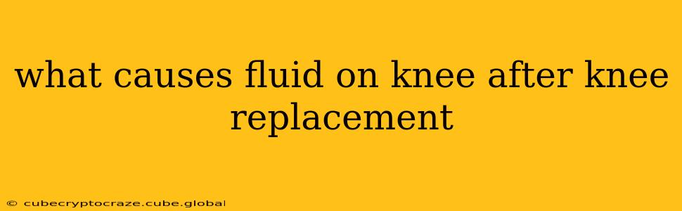 what causes fluid on knee after knee replacement