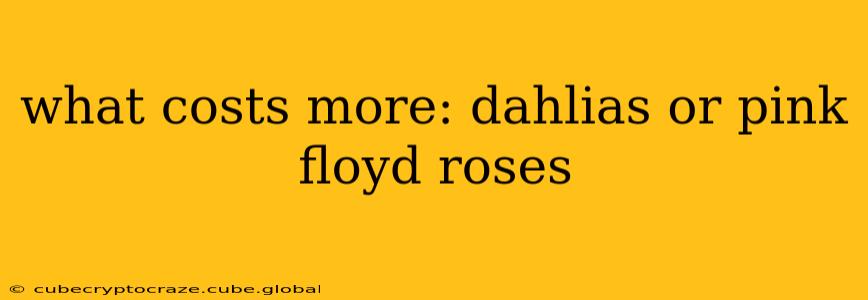 what costs more: dahlias or pink floyd roses