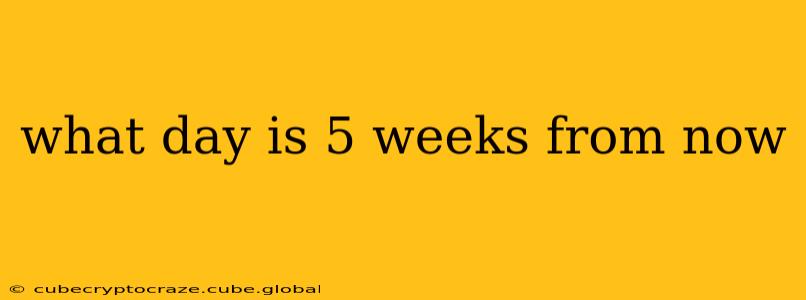 what day is 5 weeks from now