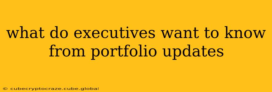 what do executives want to know from portfolio updates
