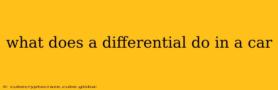 what does a differential do in a car