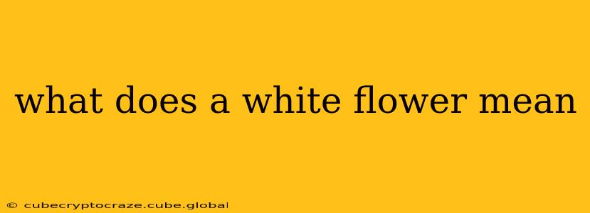 what does a white flower mean