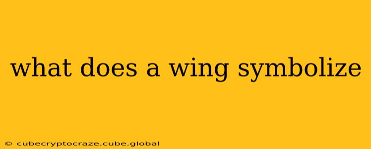 what does a wing symbolize