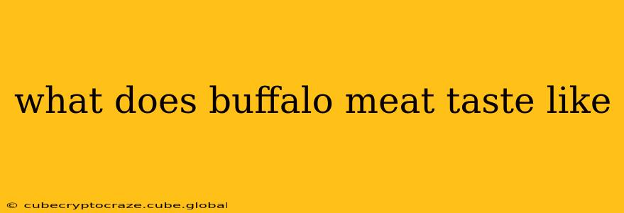 what does buffalo meat taste like