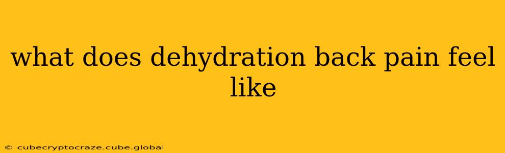 what does dehydration back pain feel like