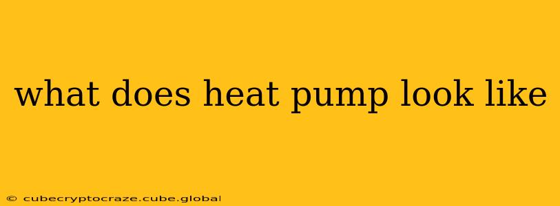 what does heat pump look like