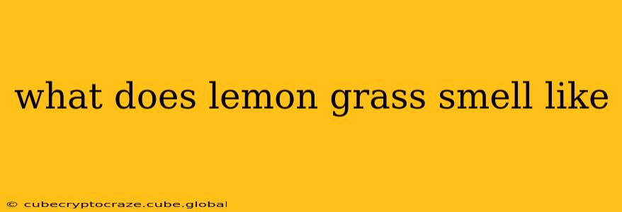 what does lemon grass smell like