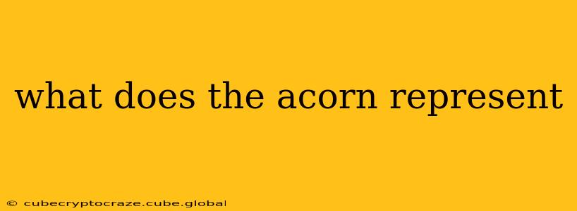 what does the acorn represent