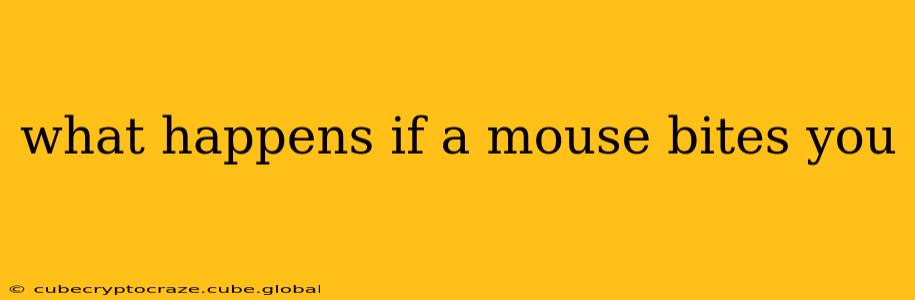 what happens if a mouse bites you