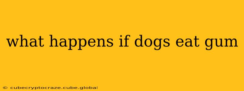 what happens if dogs eat gum