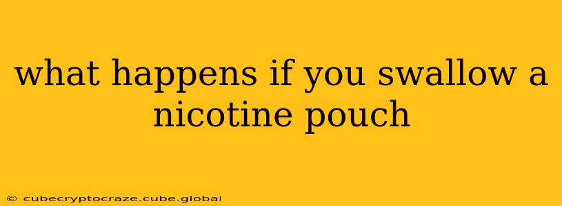 what happens if you swallow a nicotine pouch