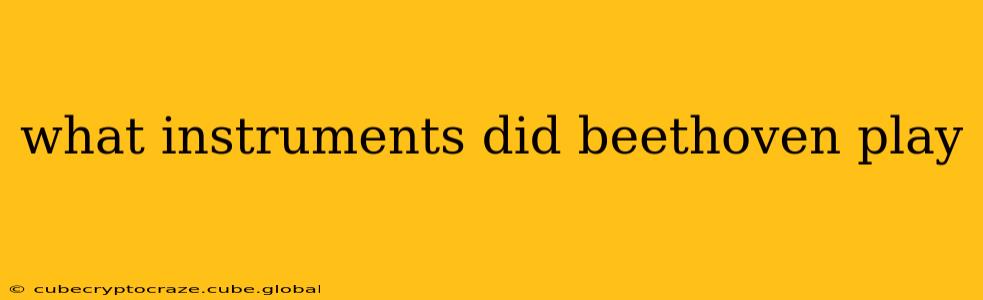 what instruments did beethoven play