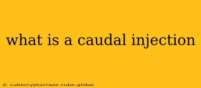what is a caudal injection