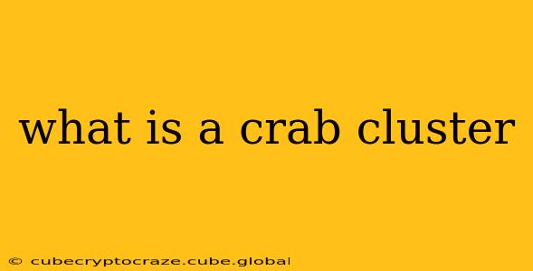 what is a crab cluster