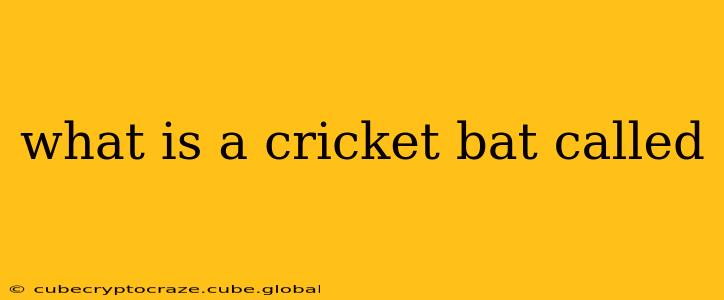 what is a cricket bat called