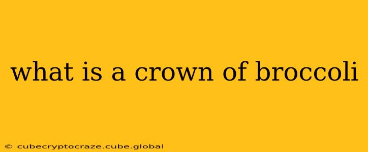 what is a crown of broccoli