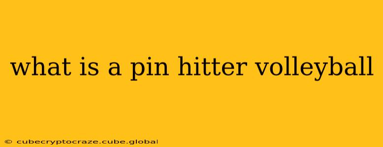 what is a pin hitter volleyball