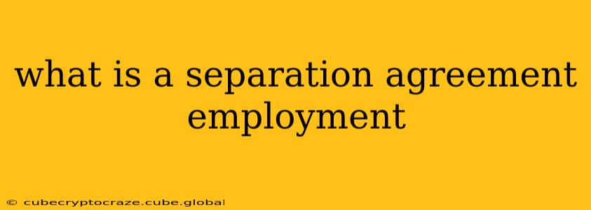 what is a separation agreement employment
