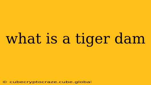 what is a tiger dam