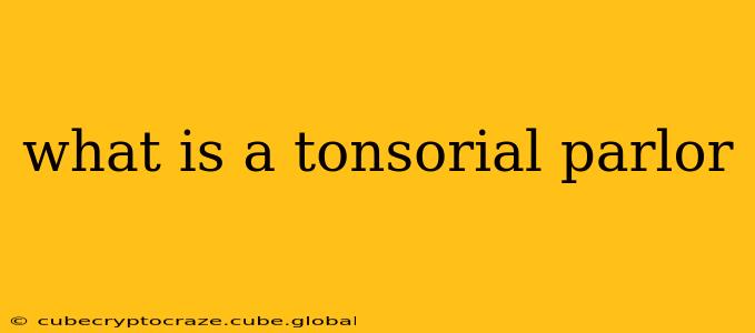 what is a tonsorial parlor