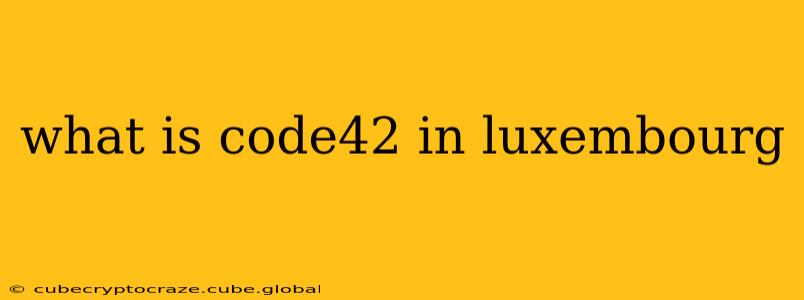 what is code42 in luxembourg