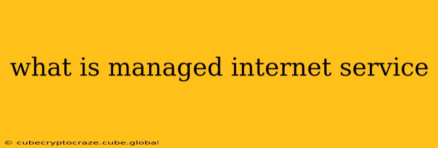 what is managed internet service