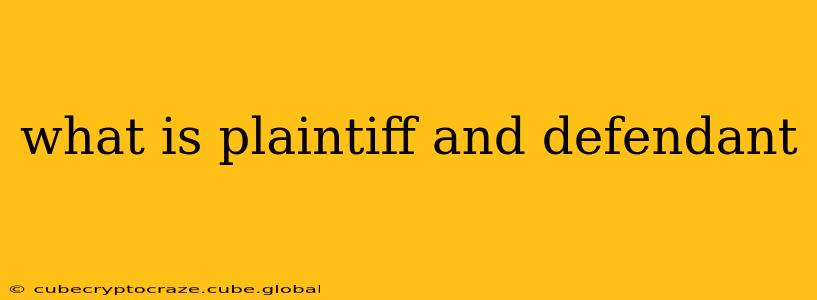 what is plaintiff and defendant