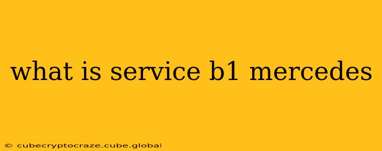 what is service b1 mercedes