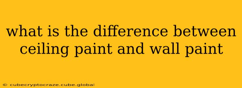 what is the difference between ceiling paint and wall paint