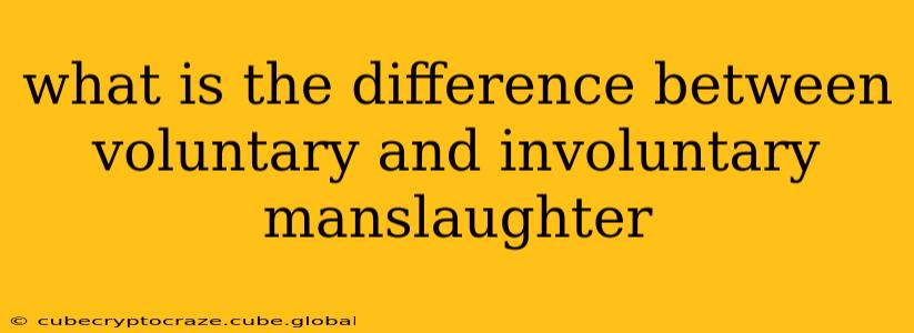 what is the difference between voluntary and involuntary manslaughter