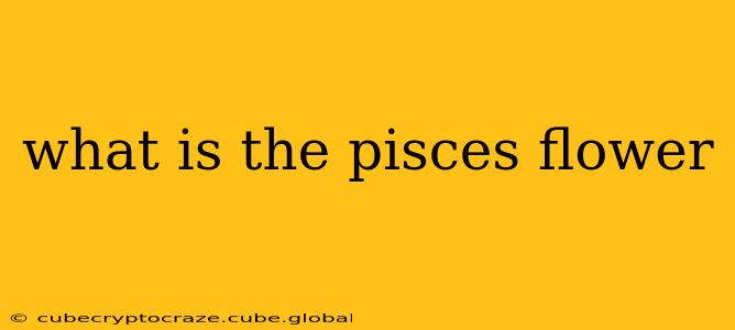what is the pisces flower