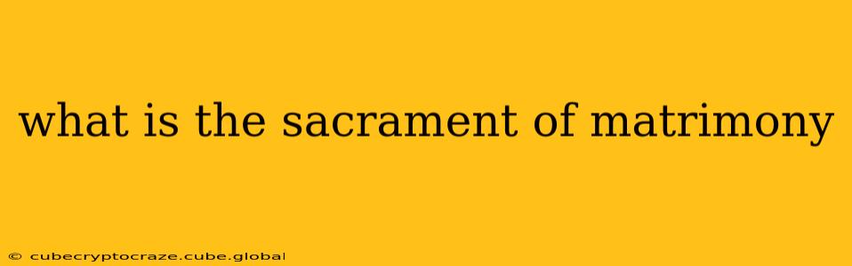 what is the sacrament of matrimony