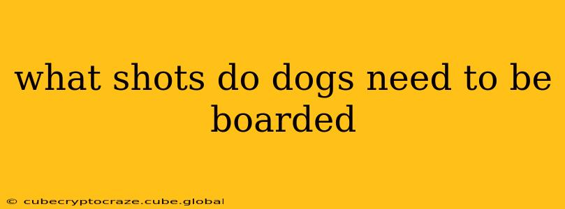 what shots do dogs need to be boarded