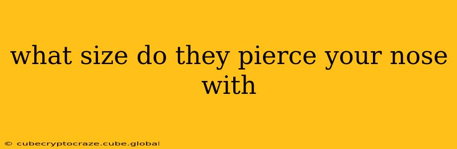 what size do they pierce your nose with