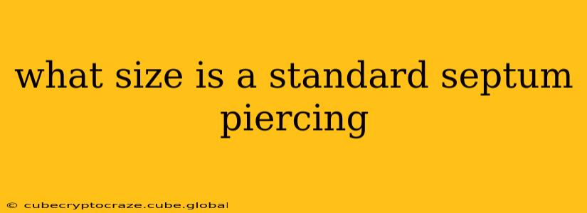 what size is a standard septum piercing