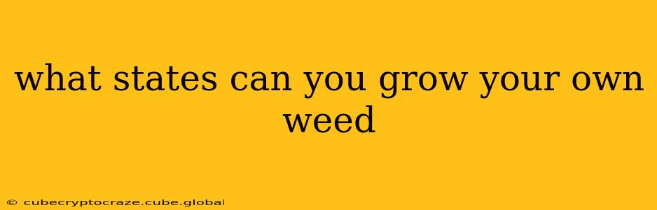 what states can you grow your own weed