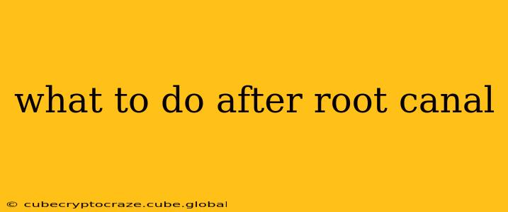 what to do after root canal