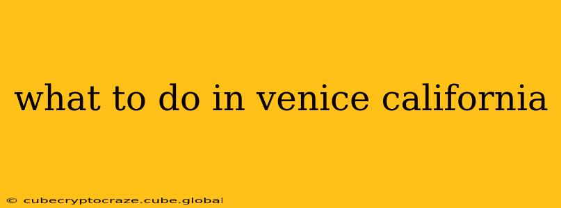 what to do in venice california
